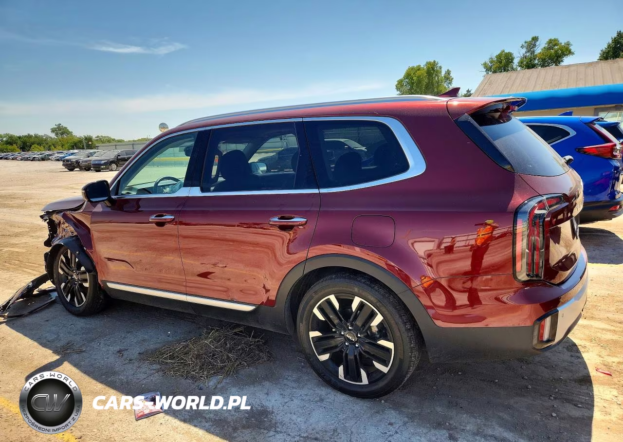 2024 Kia Telluride Sx VIN:5XYP5DGC3RG519879 - 2