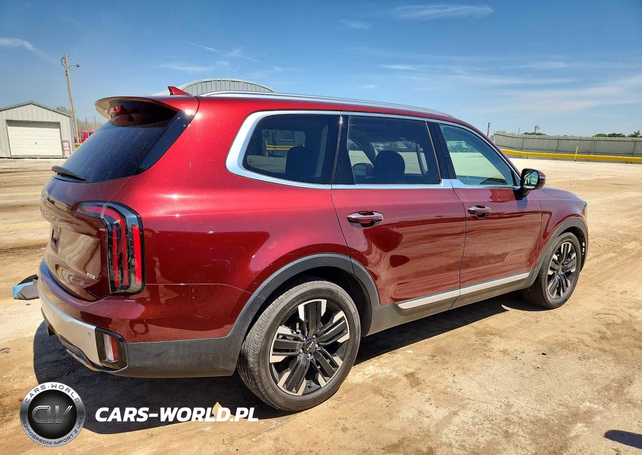 2024 Kia Telluride Sx VIN:5XYP5DGC3RG519879 - 3