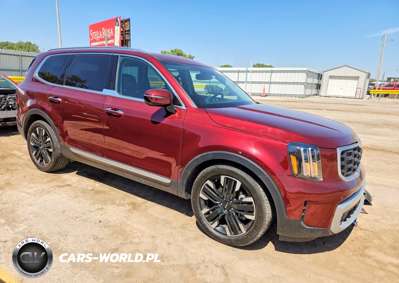 2024 Kia Telluride Sx VIN:5XYP5DGC3RG519879 - 4