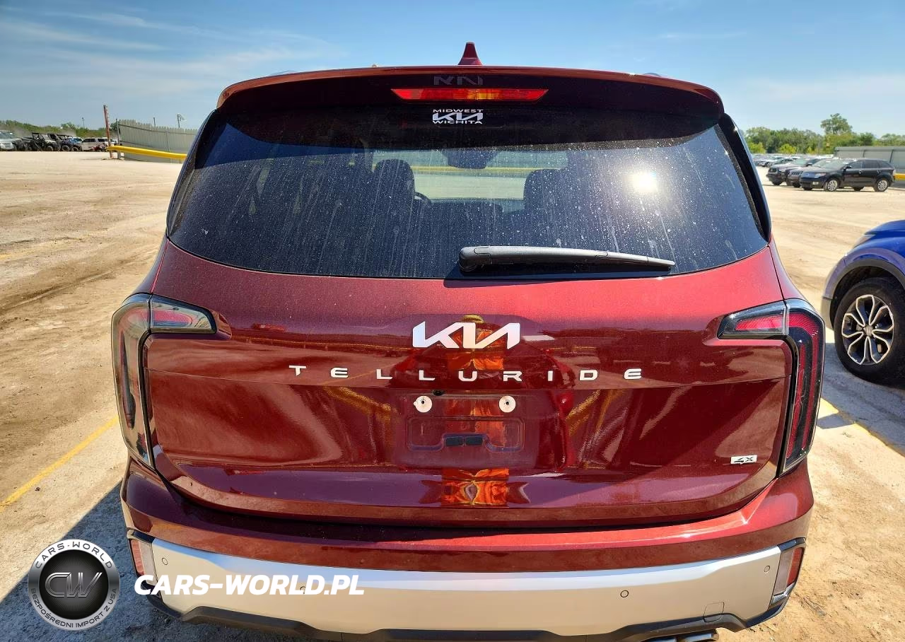 2024 Kia Telluride Sx VIN:5XYP5DGC3RG519879 - 6