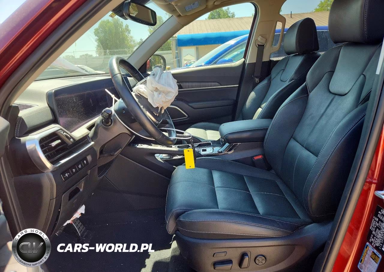 2024 Kia Telluride Sx VIN:5XYP5DGC3RG519879 - 7