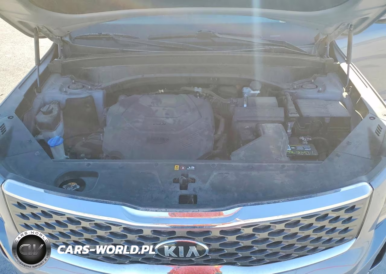 2020 Kia Telluride Lx VIN:5XYP24HC7LG054845 - 12