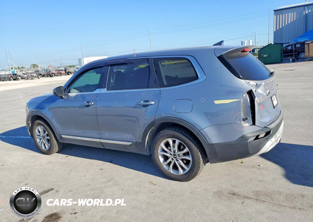 2020 Kia Telluride Lx VIN:5XYP24HC7LG054845 - 2