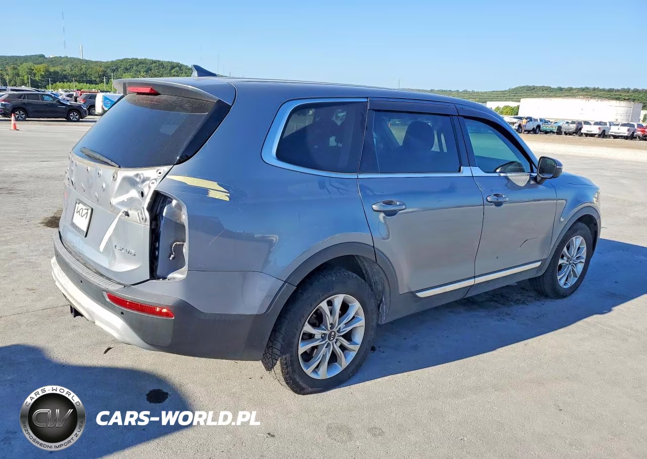2020 Kia Telluride Lx VIN:5XYP24HC7LG054845 - 3