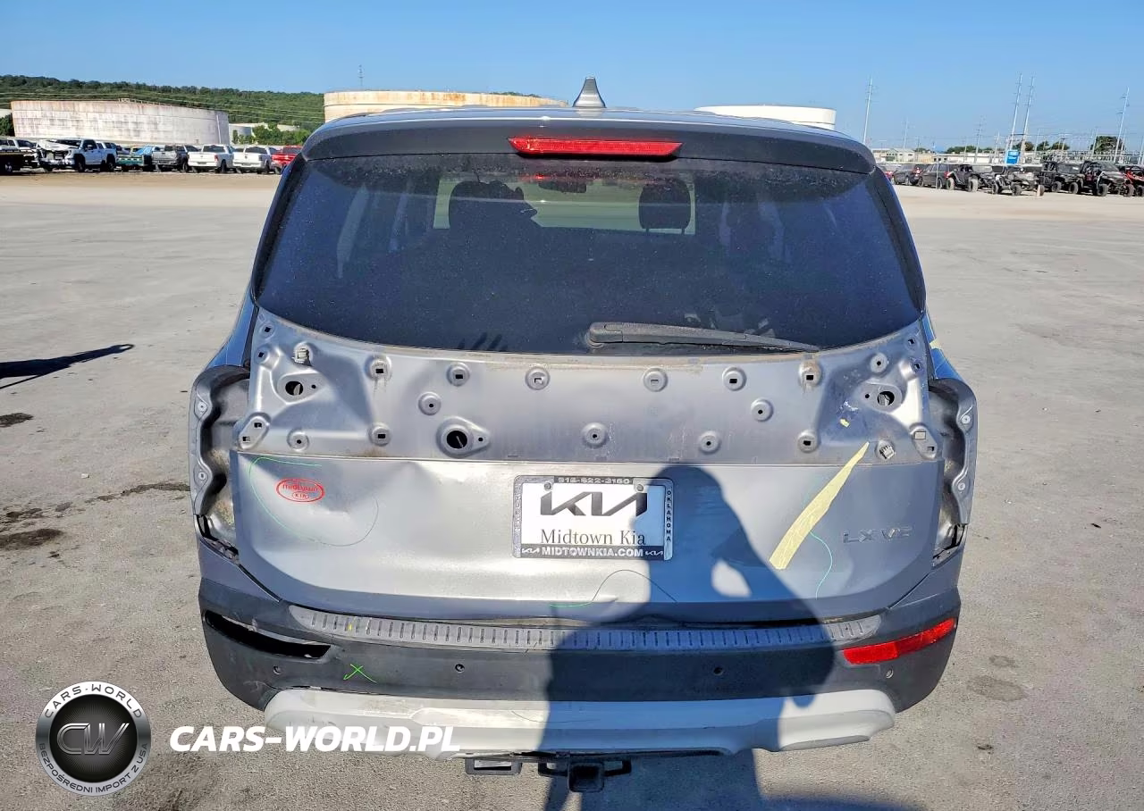 2020 Kia Telluride Lx VIN:5XYP24HC7LG054845 - 6