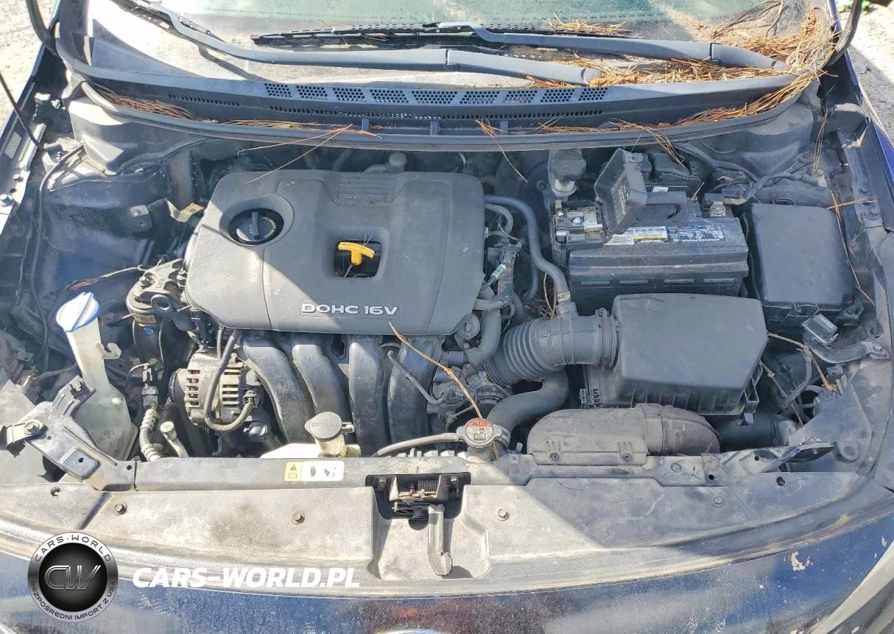 2017 Kia Forte S VIN:3KPFL4A76HE043586 - 11