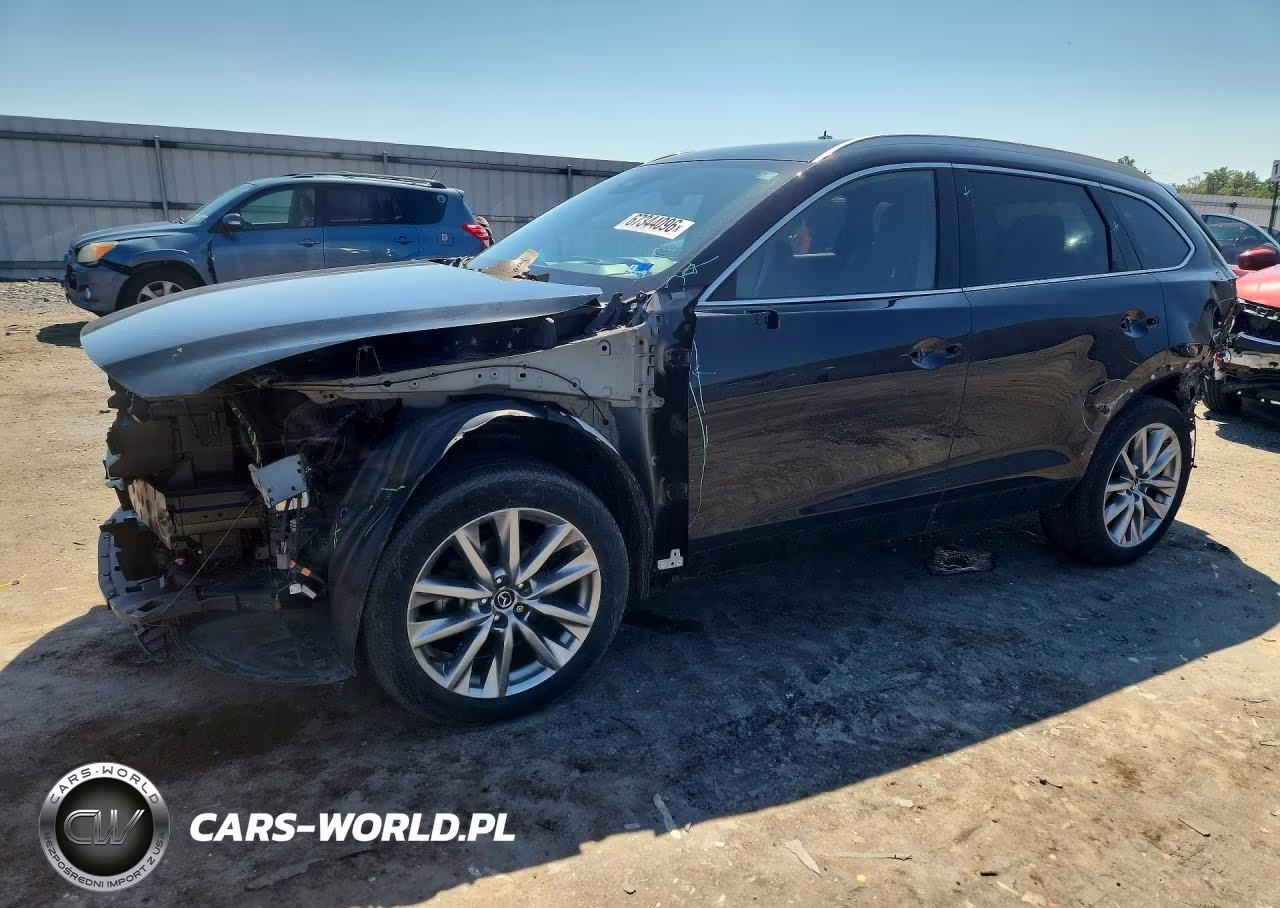 2021 Mazda Cx-9 Grand Touring VIN:JM3TCBDY5M0516948 - 1