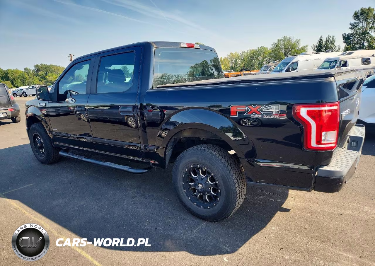 2016 Ford F150 Supercrew VIN:1FTEW1EP8GKD95611 - 2