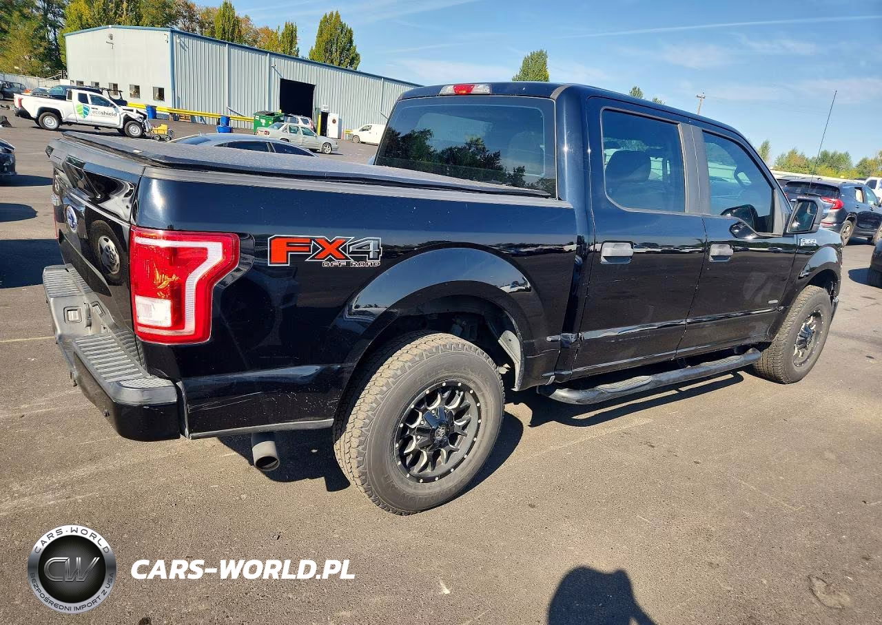 2016 Ford F150 Supercrew VIN:1FTEW1EP8GKD95611 - 3