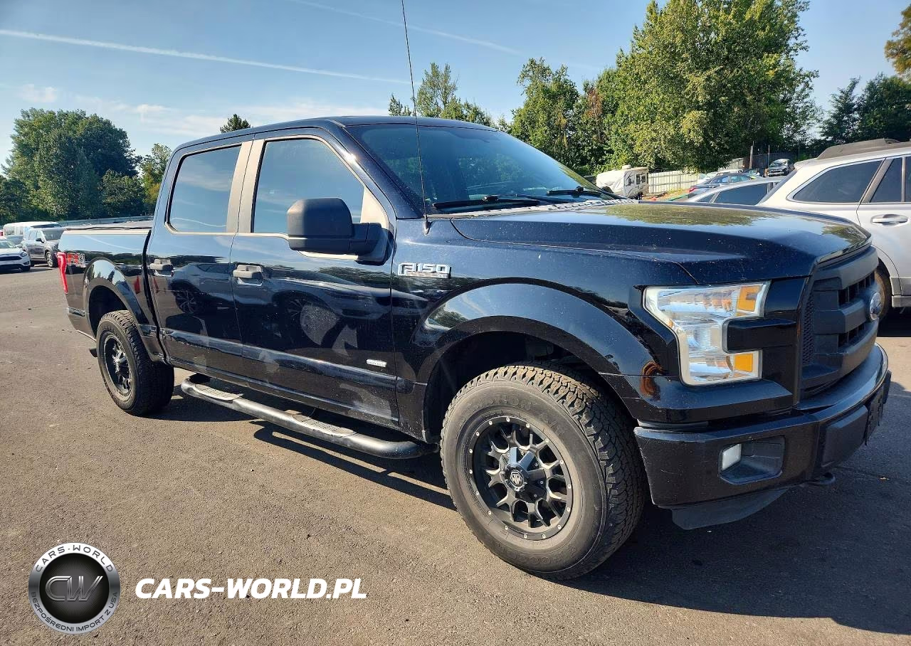 2016 Ford F150 Supercrew VIN:1FTEW1EP8GKD95611 - 4