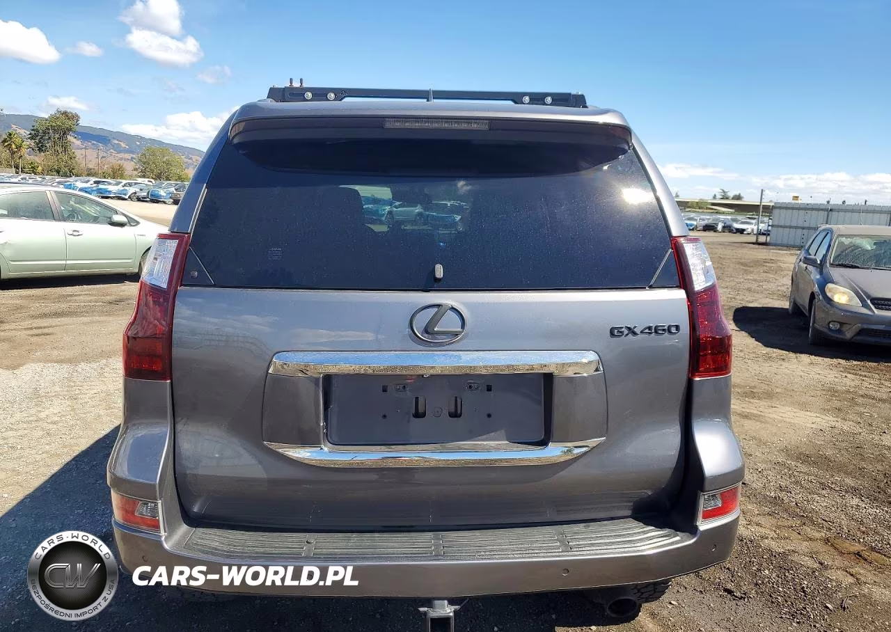 2017 Lexus Gx 460 Premium VIN:JTJJM7FX3H5157605 - 6