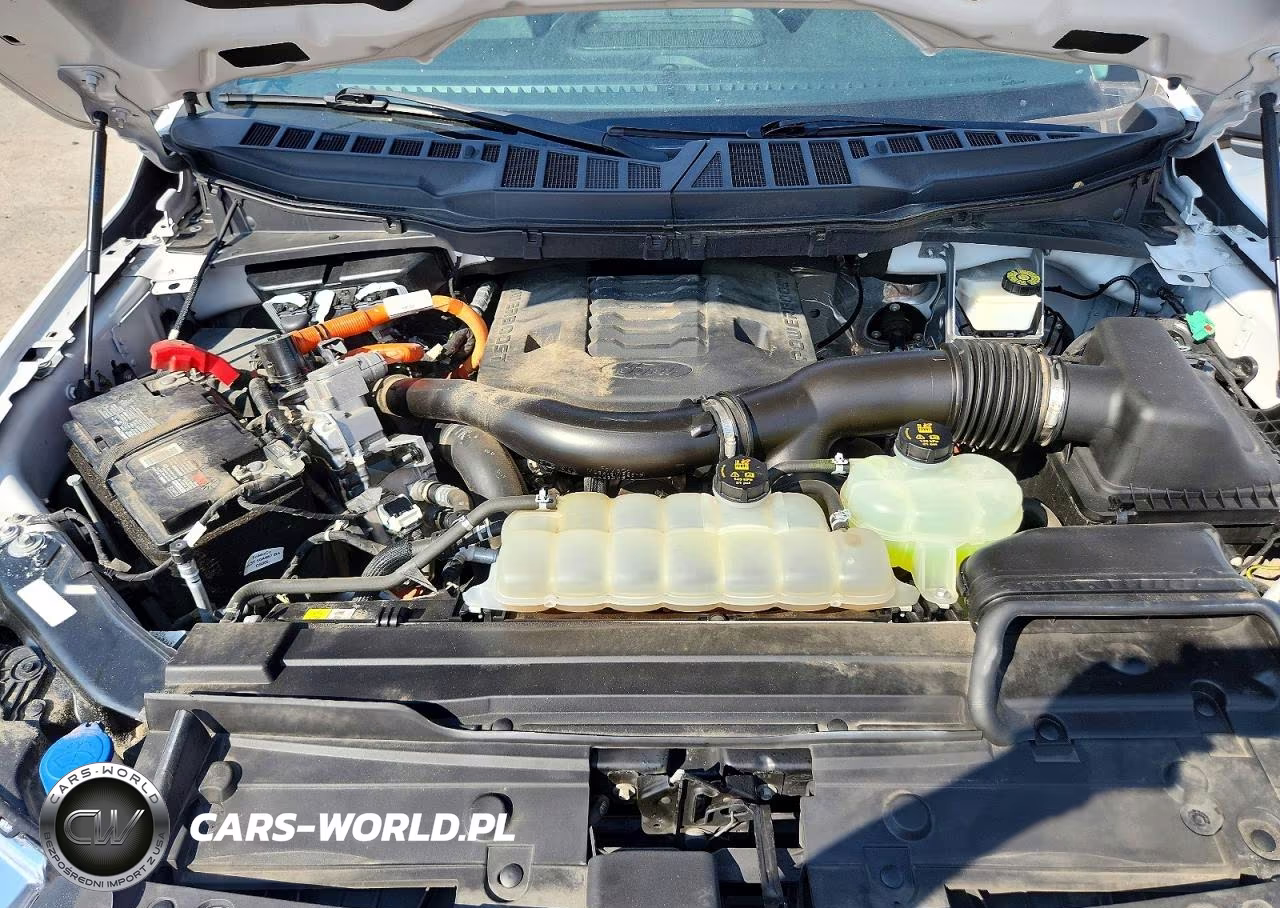 2021 Ford F150 Supercrew VIN:1FTFW1CD0MFD13257 - 11