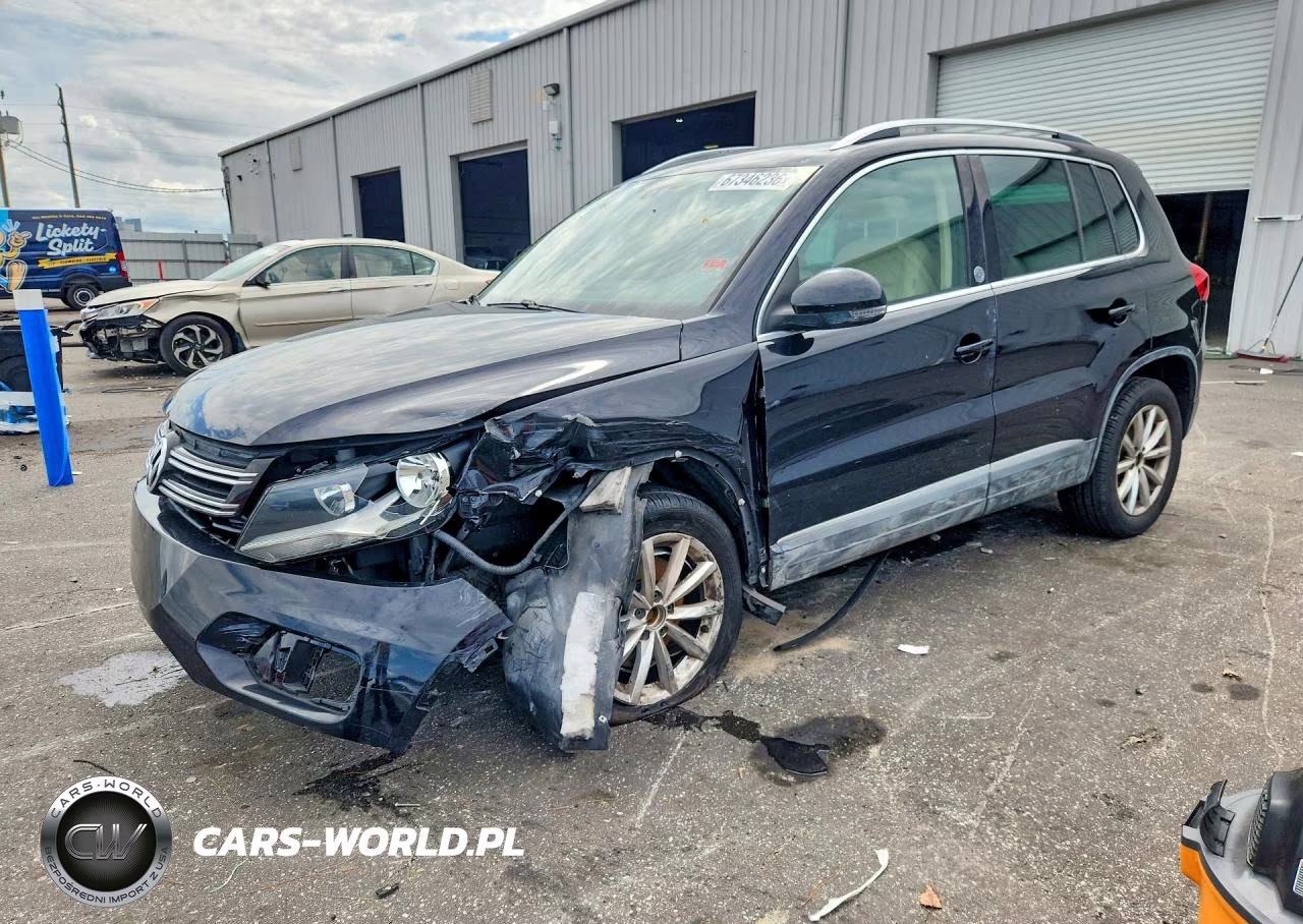2017 Volkswagen Tiguan Wolfsburg