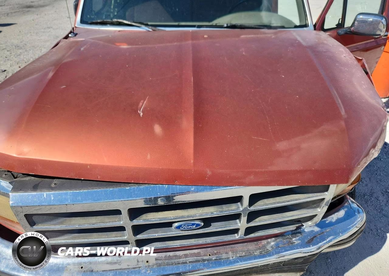 1995 Ford F150 VIN:1FTEX15N1SKA70190 - 11