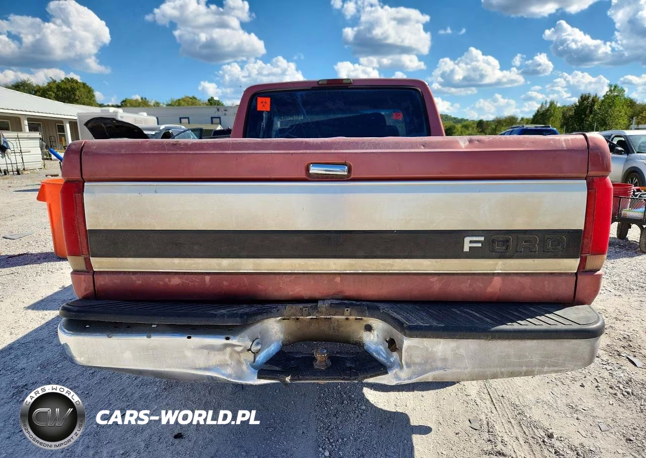 1995 Ford F150 VIN:1FTEX15N1SKA70190 - 6