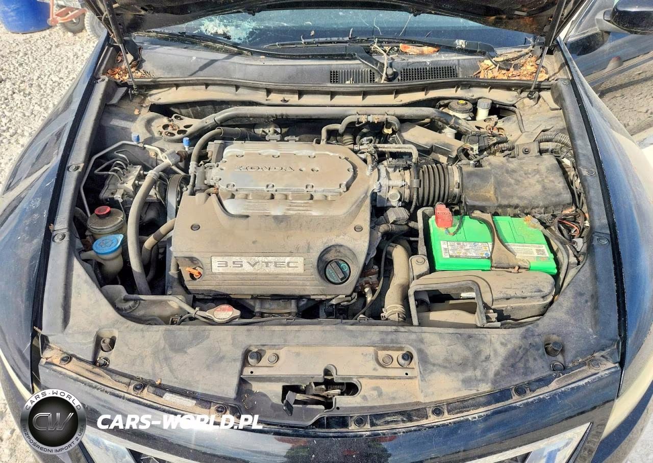 2010 Honda Accord Exl VIN:1HGCS2A83AA010333 - 11