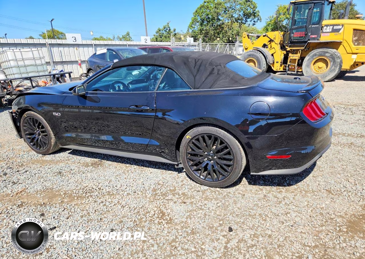 2019 Ford Mustang Gt VIN:1FATP8FF7K5104192 - 2