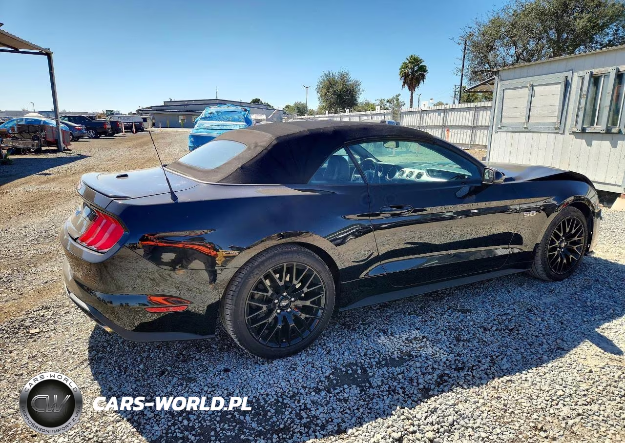 2019 Ford Mustang Gt VIN:1FATP8FF7K5104192 - 3
