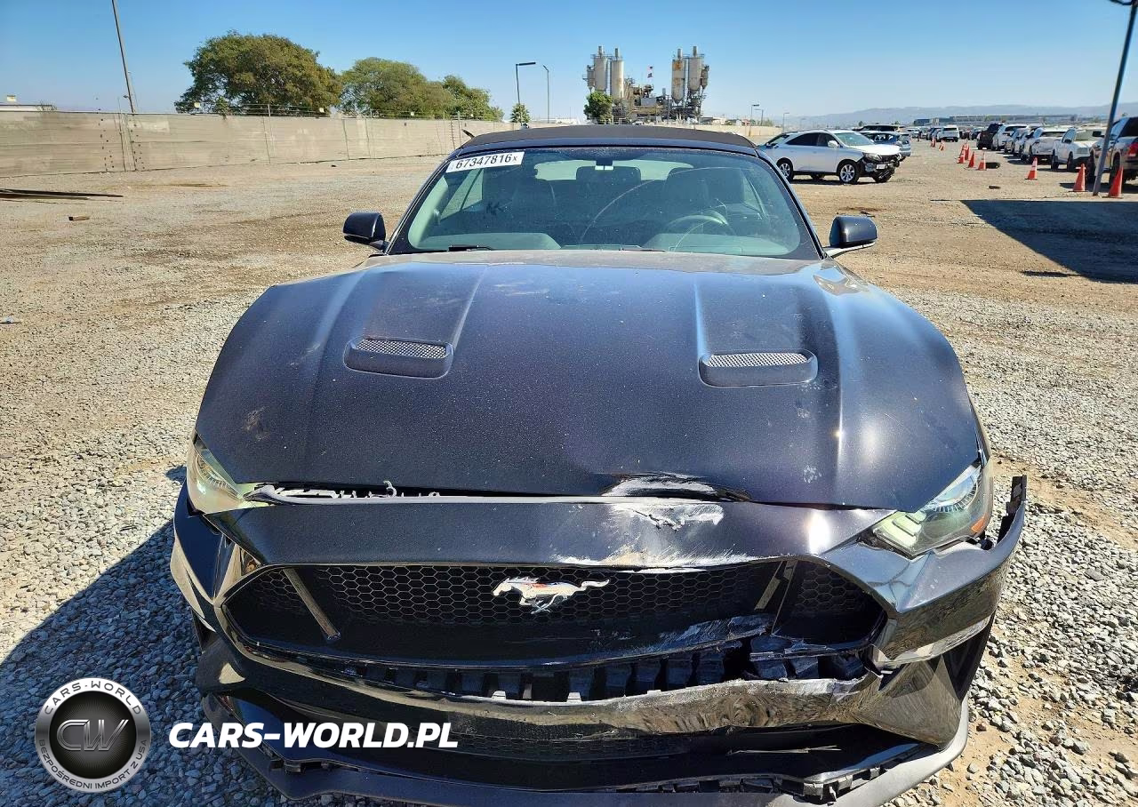 2019 Ford Mustang Gt VIN:1FATP8FF7K5104192 - 5