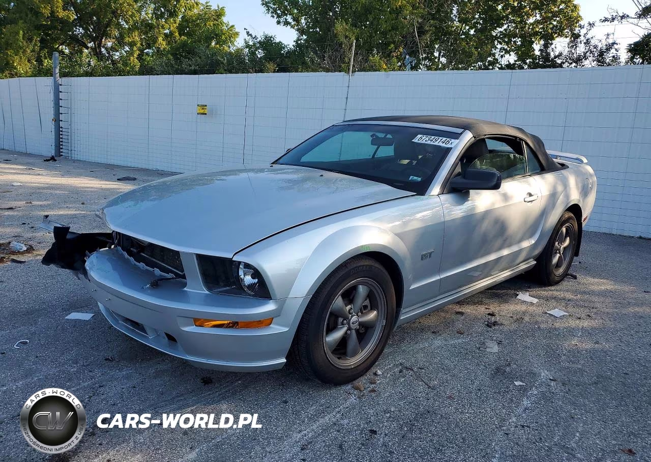2006 Ford Mustang Gt VIN:1ZVFT85H865243711 - 1