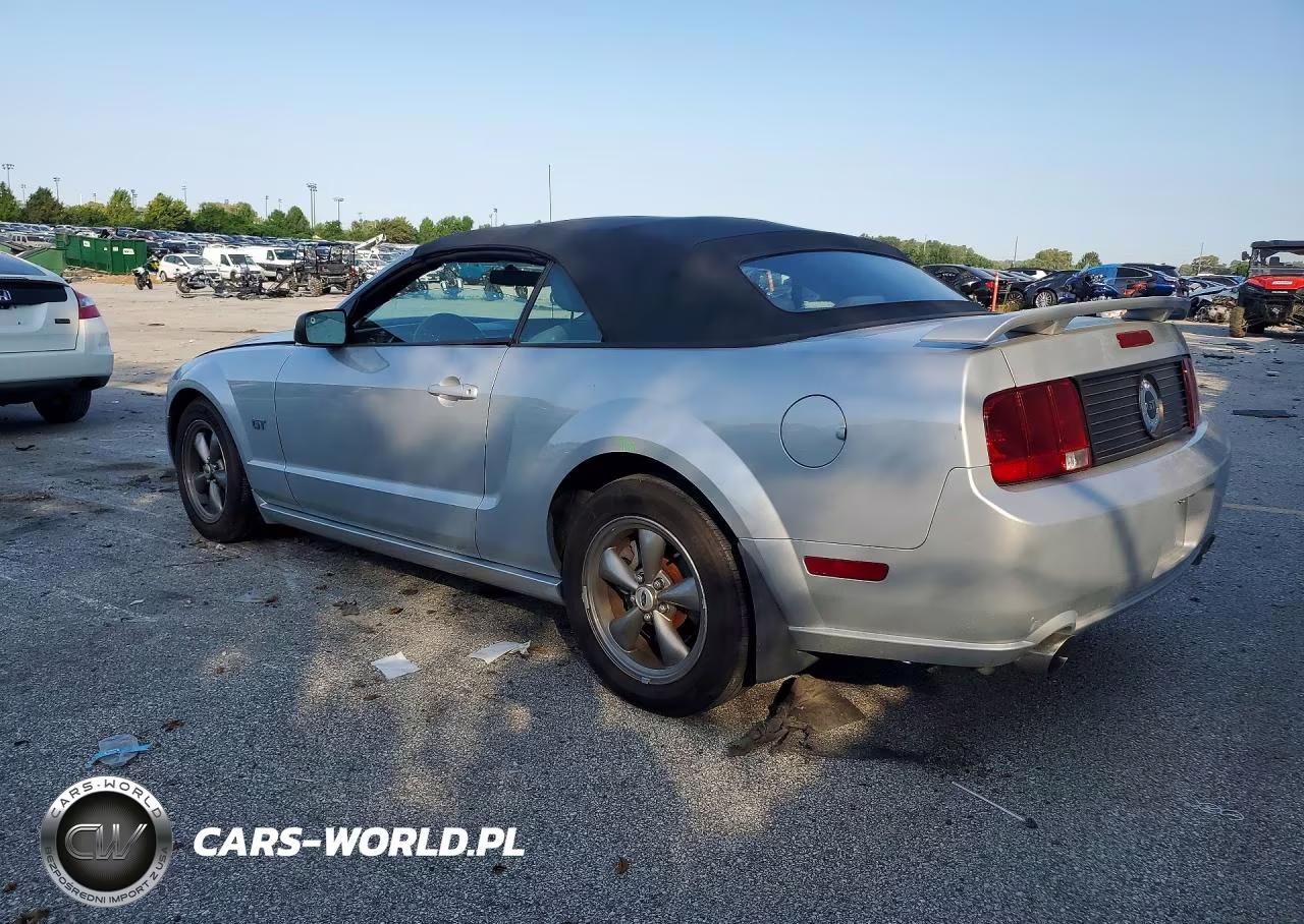 2006 Ford Mustang Gt VIN:1ZVFT85H865243711 - 2