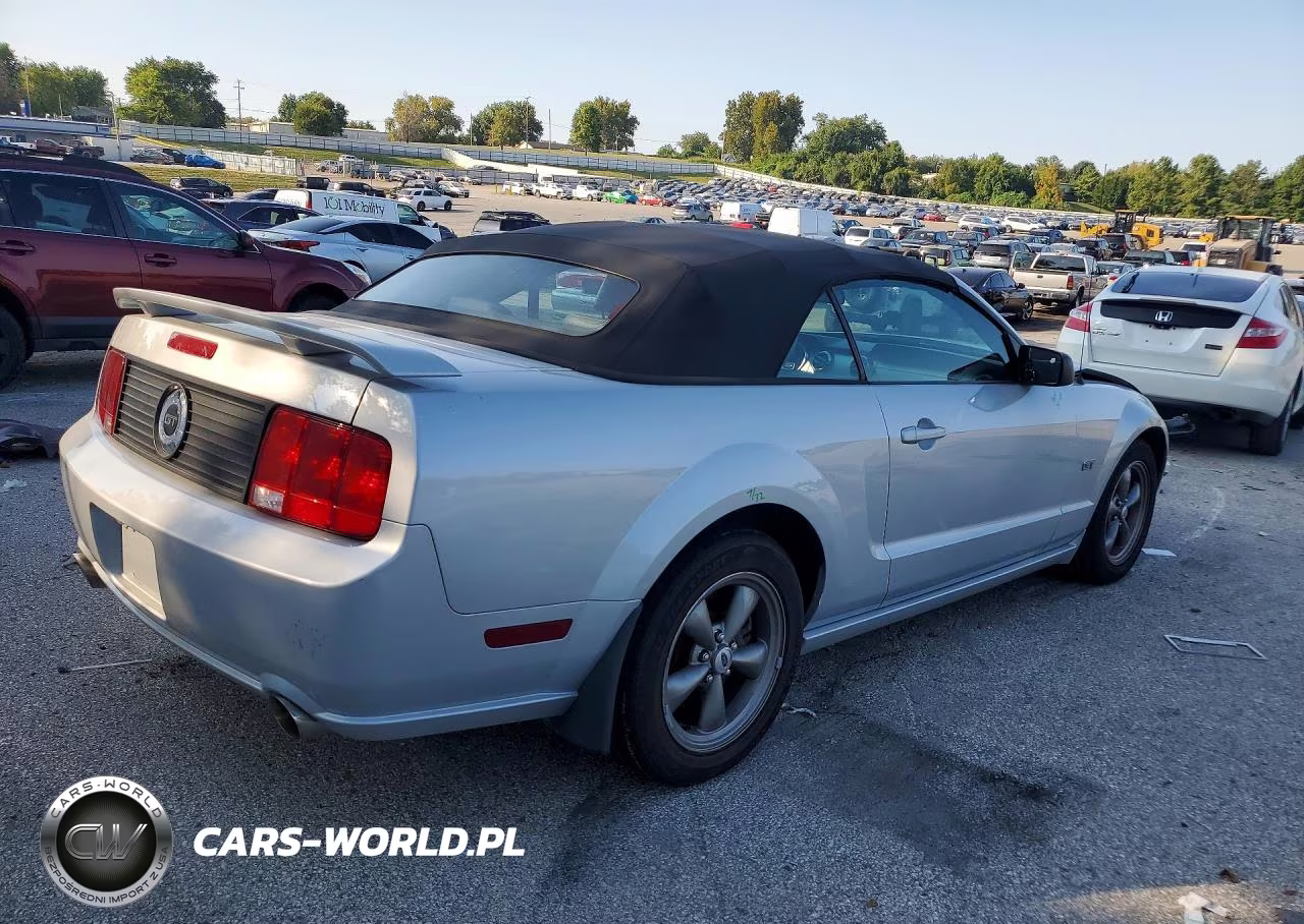 2006 Ford Mustang Gt VIN:1ZVFT85H865243711 - 3