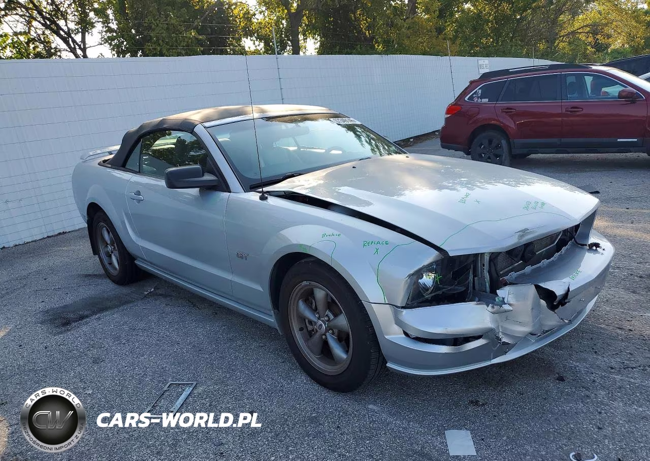 2006 Ford Mustang Gt VIN:1ZVFT85H865243711 - 4
