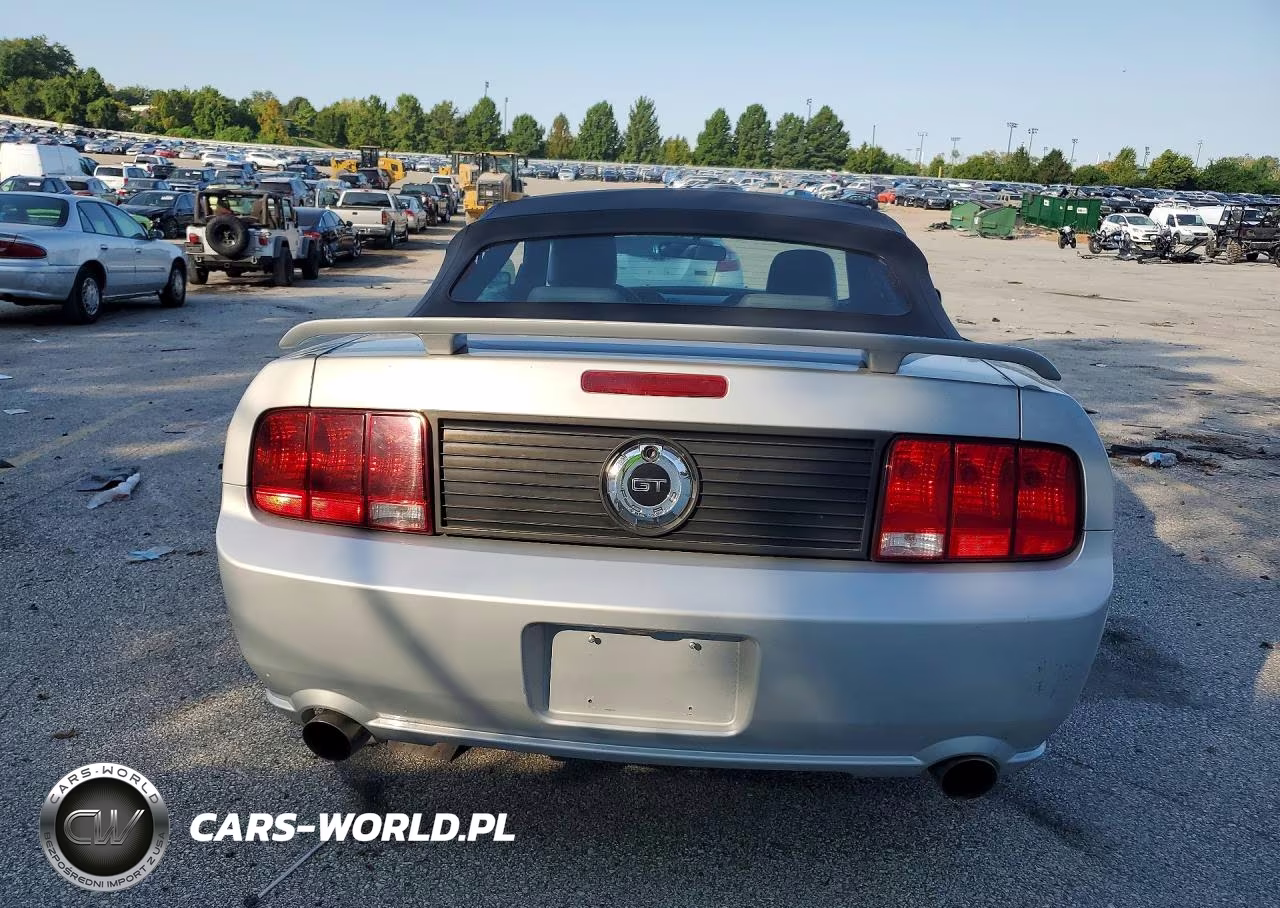 2006 Ford Mustang Gt VIN:1ZVFT85H865243711 - 6