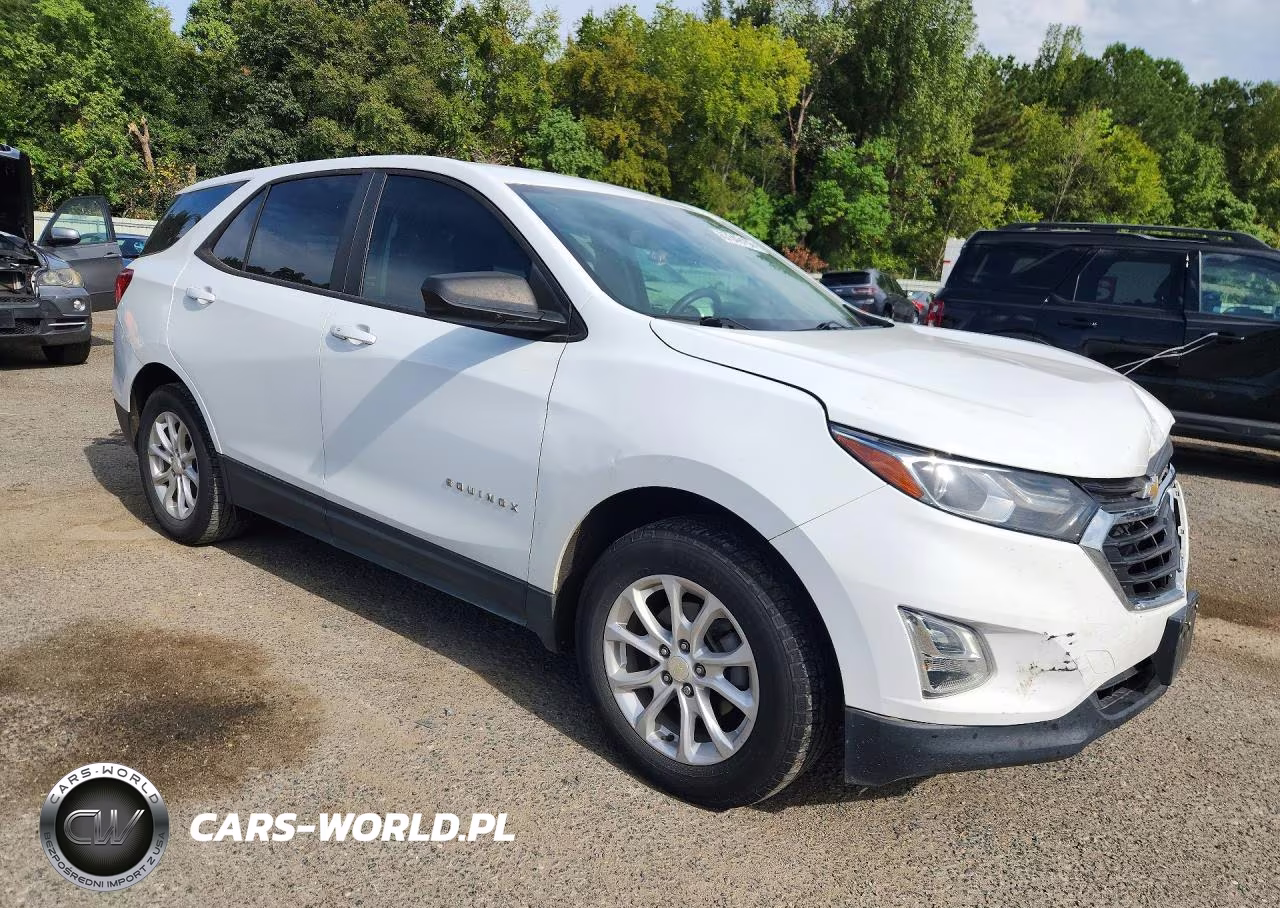 2020 Chevrolet Equinox Ls VIN:3GNAXHEV1LS663293 - 4