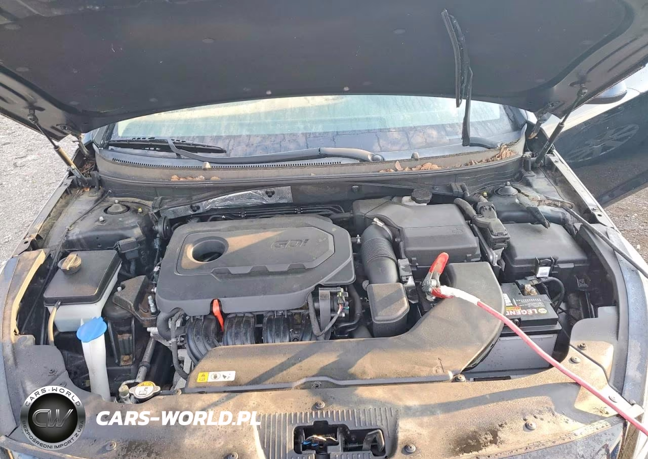 2015 Hyundai Sonata Se VIN:5NPE24AF9FH227824 - 11