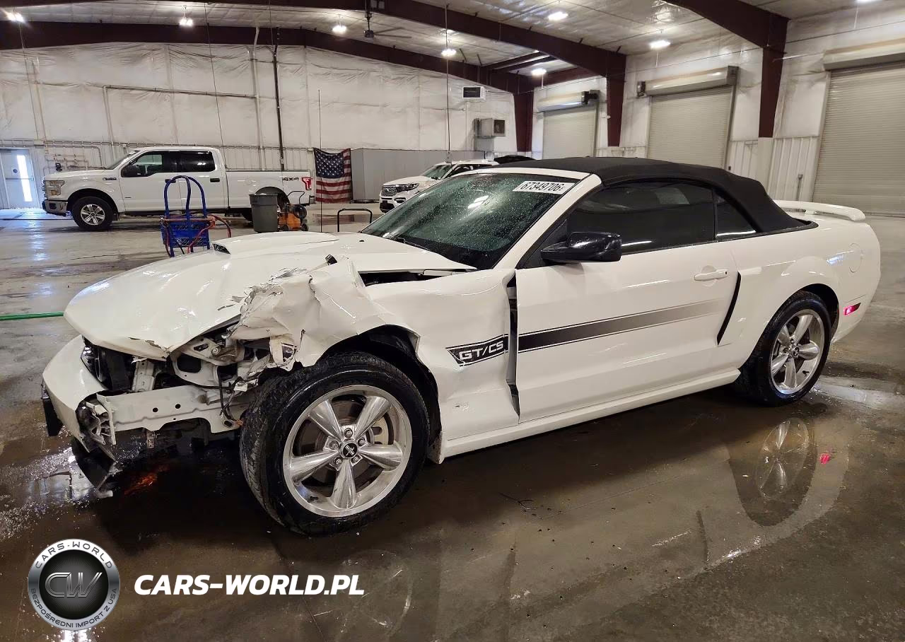 2008 Ford Mustang Gt VIN:1ZVHT85H485154102 - 1