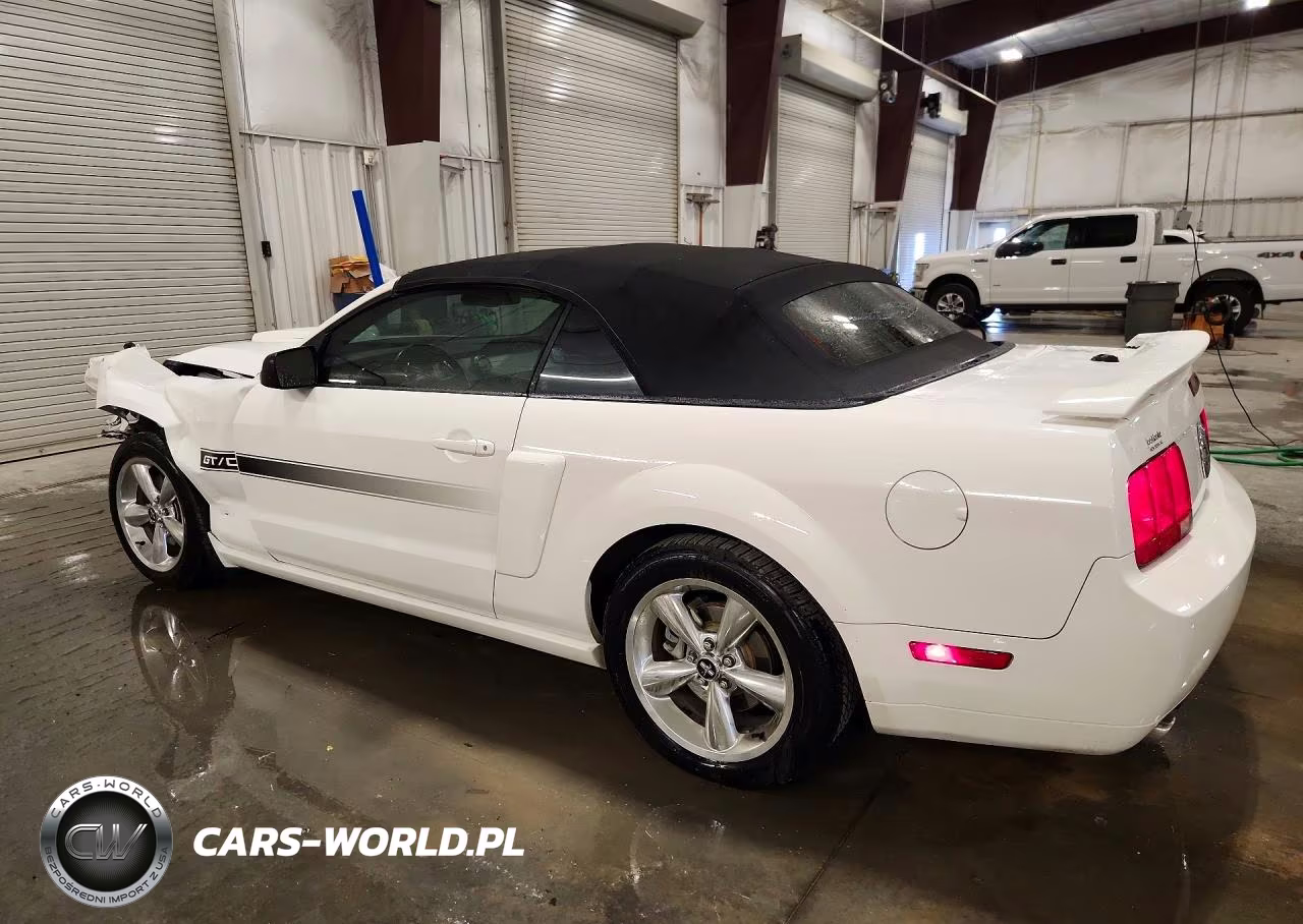 2008 Ford Mustang Gt VIN:1ZVHT85H485154102 - 2