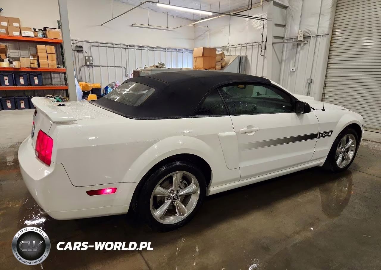2008 Ford Mustang Gt VIN:1ZVHT85H485154102 - 3