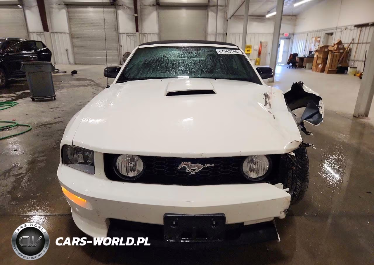 2008 Ford Mustang Gt VIN:1ZVHT85H485154102 - 5
