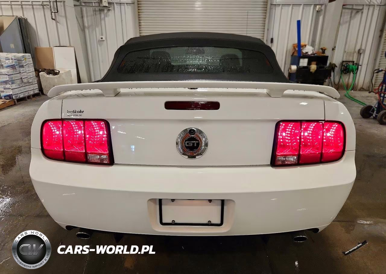 2008 Ford Mustang Gt VIN:1ZVHT85H485154102 - 6