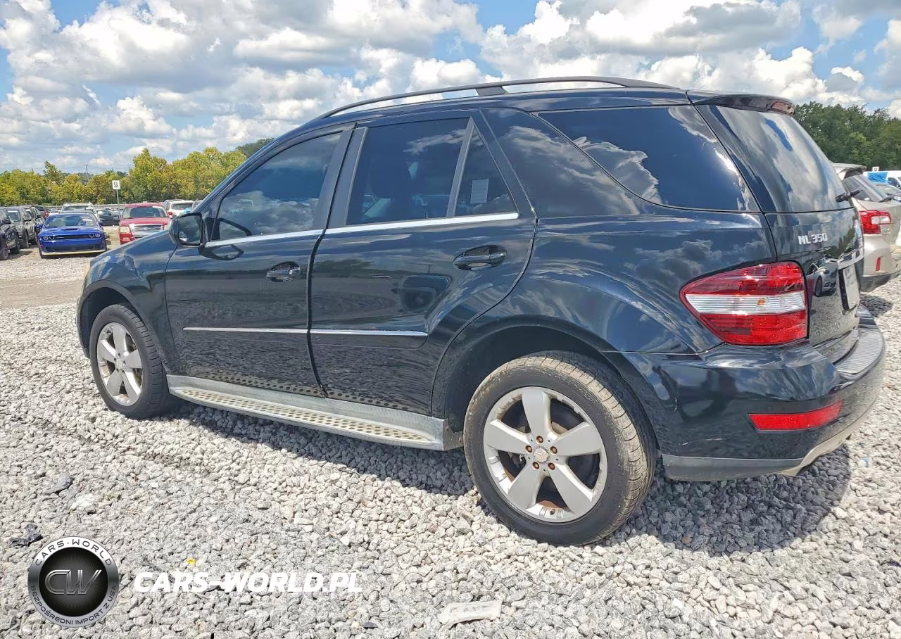 2010 Mercedes-Benz Ml 350 VIN:4JGBB5GB4AA579850 - 2