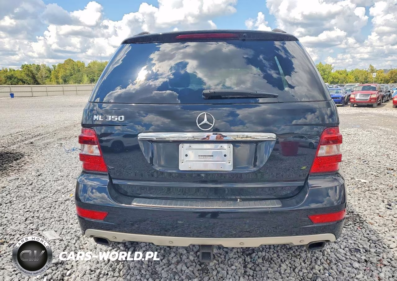 2010 Mercedes-Benz Ml 350 VIN:4JGBB5GB4AA579850 - 6