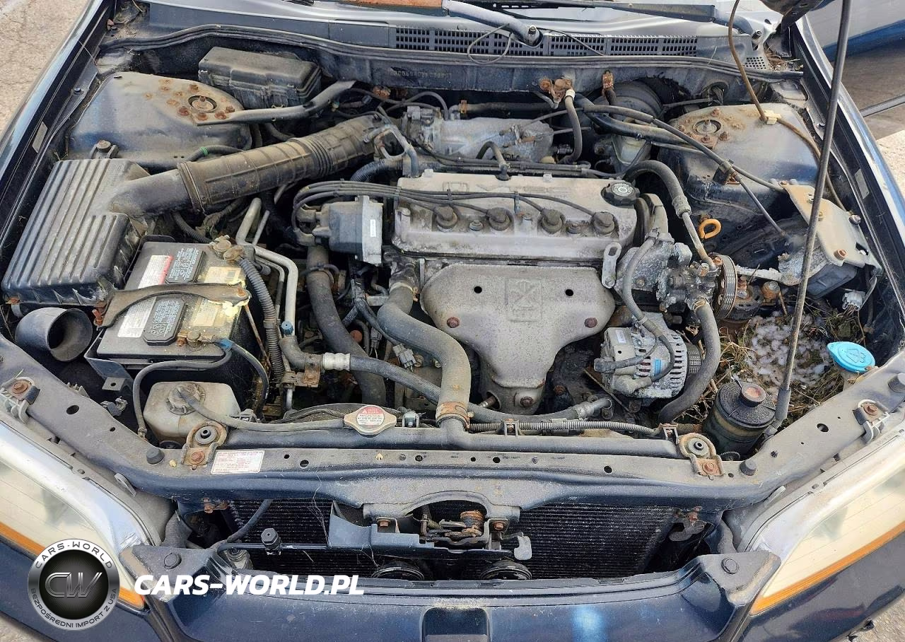 2000 Honda Accord Lx VIN:1HGCG5640YA033801 - 11