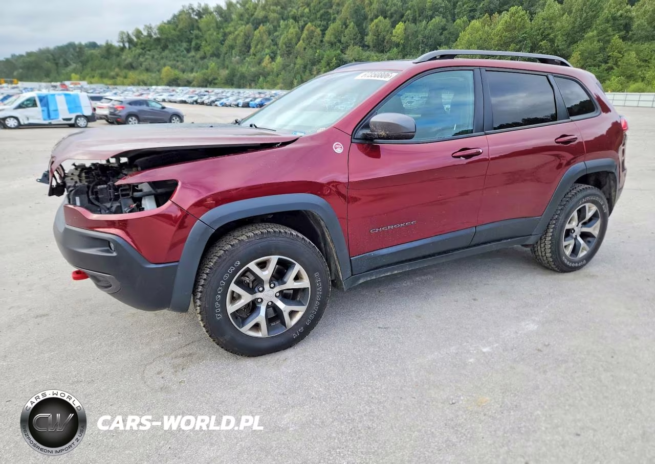 2019 Jeep Cherokee Trailhawk VIN:1C4PJMBX3KD217888 - 1