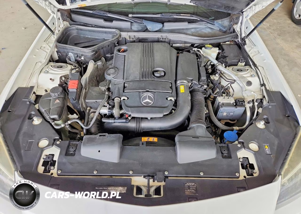 2014 Mercedes-Benz Slk 250 VIN:WDDPK4HA3EF090347 - 11