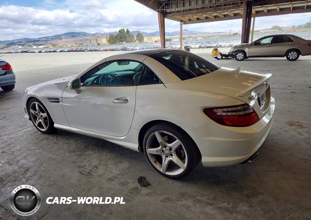 2014 Mercedes-Benz Slk 250 VIN:WDDPK4HA3EF090347 - 2