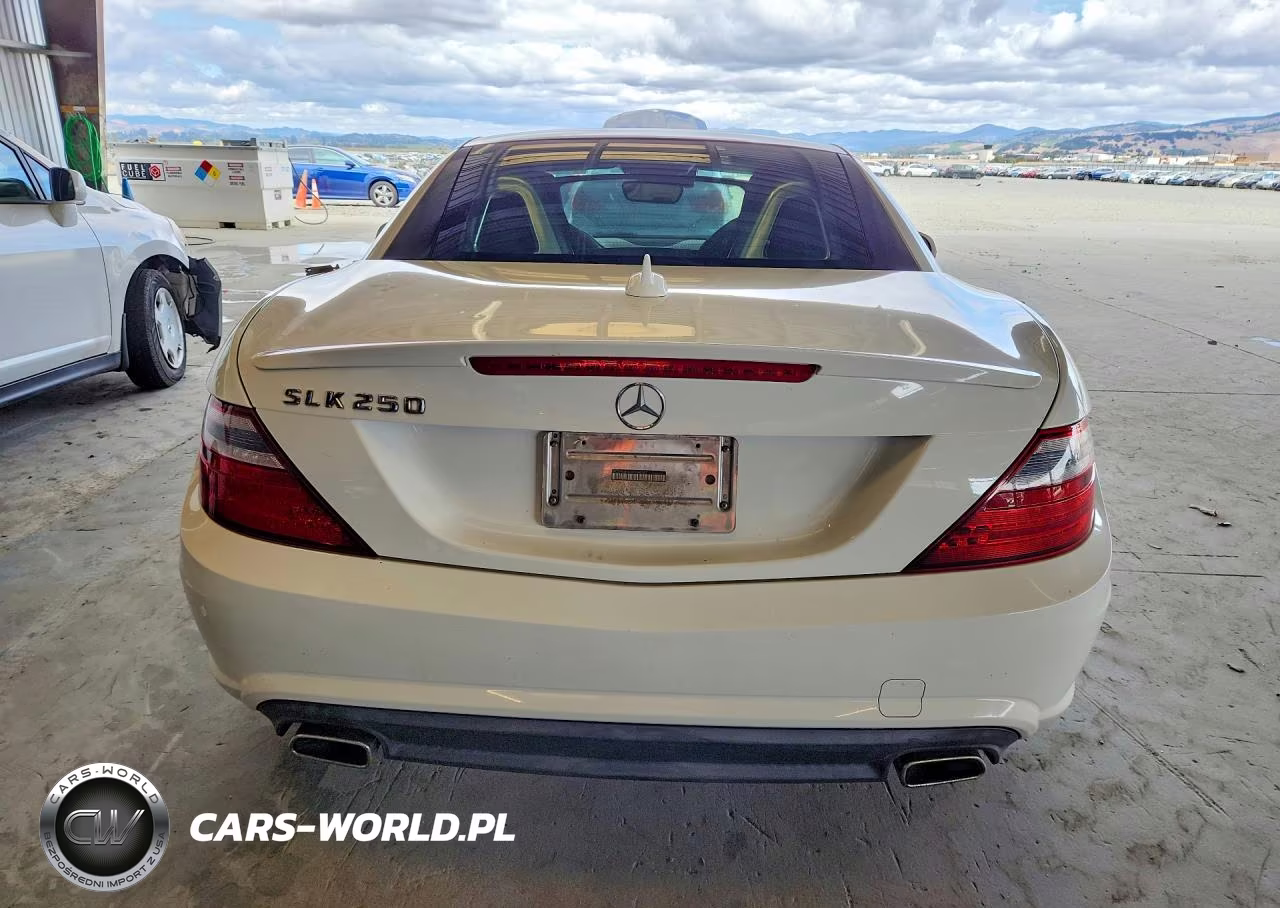 2014 Mercedes-Benz Slk 250 VIN:WDDPK4HA3EF090347 - 6