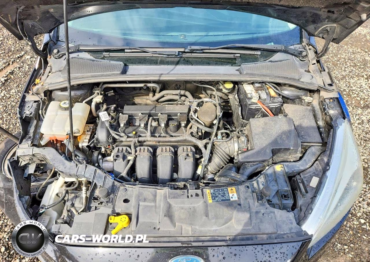 2015 Ford Focus Se VIN:1FADP3K20FL262272 - 12