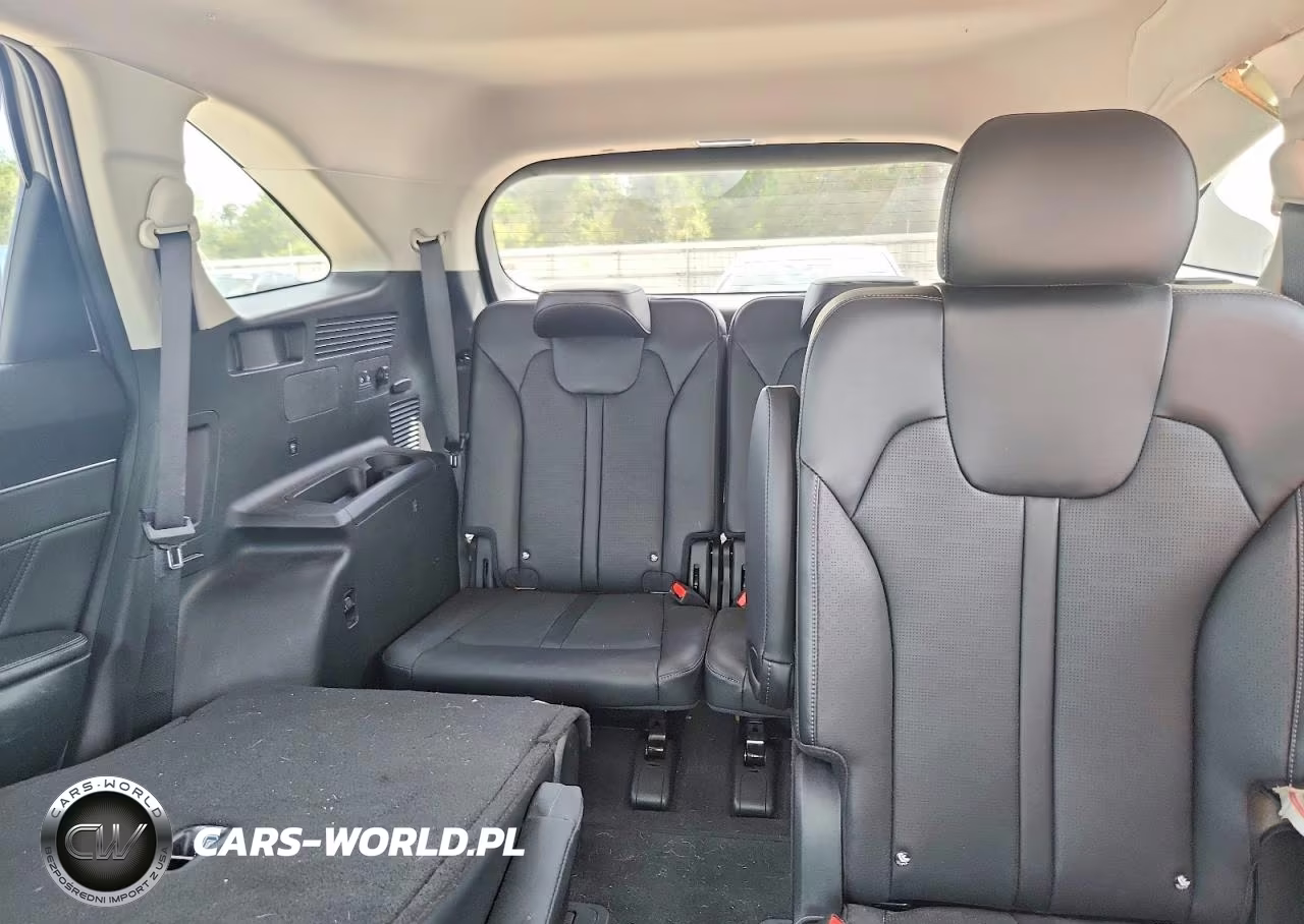 2024 Kia Sorento Sx VIN:5XYRK4JF8RG283024 - 10