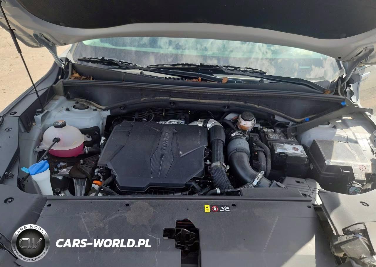 2024 Kia Sorento Sx VIN:5XYRK4JF8RG283024 - 12