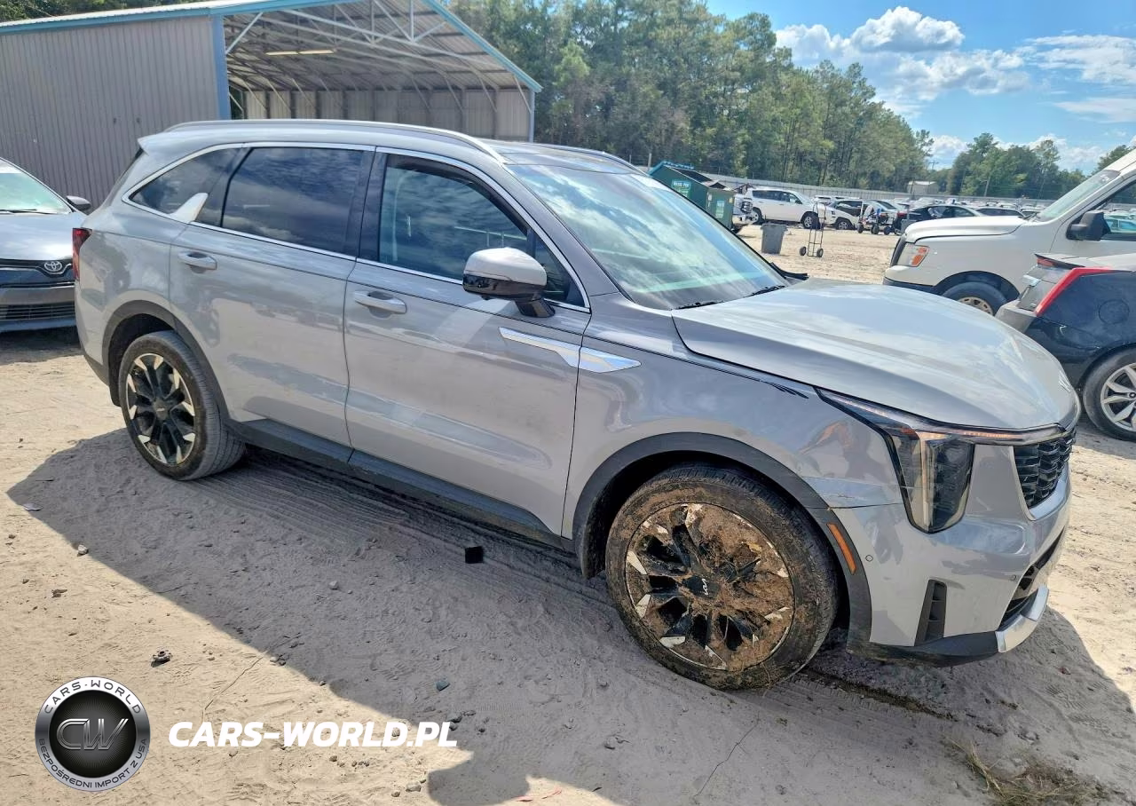 2024 Kia Sorento Sx VIN:5XYRK4JF8RG283024 - 4