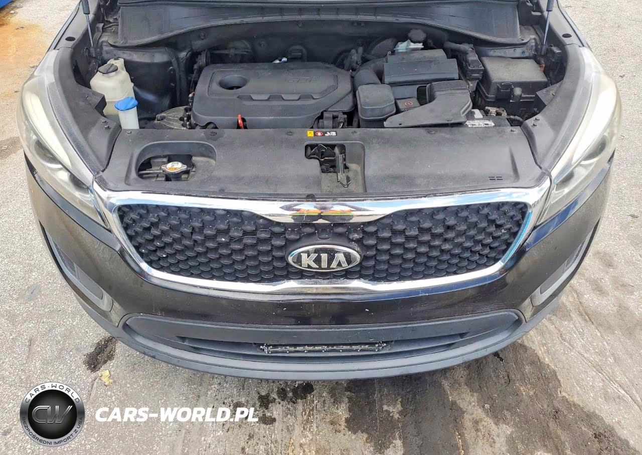 2023 Kia Sorento L VIN:5XYPG4A3XGG119060 - 12