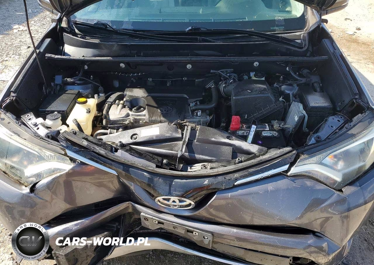 2016 Toyota Rav4 Xle VIN:2T3WFREV2GW257104 - 12