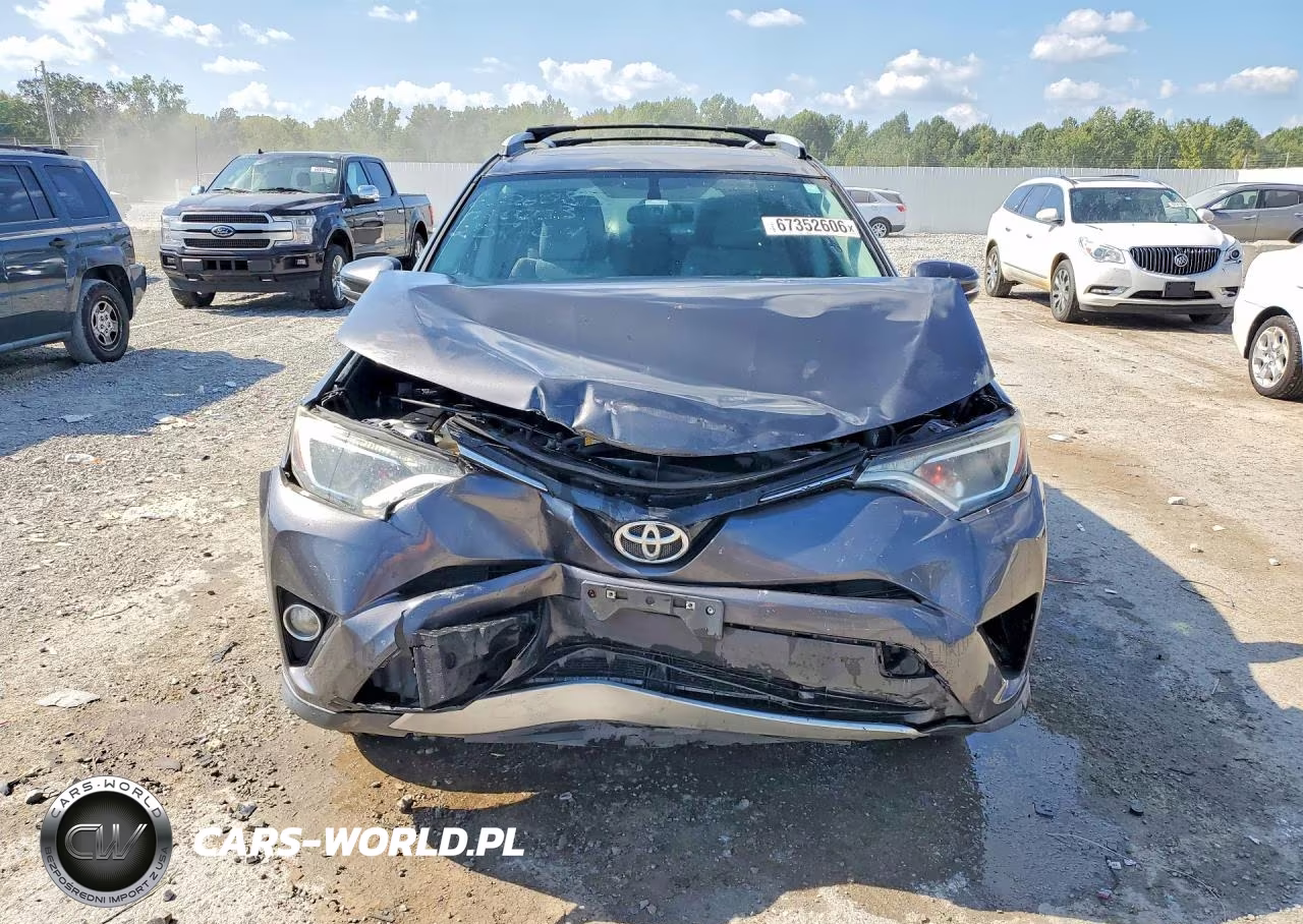 2016 Toyota Rav4 Xle VIN:2T3WFREV2GW257104 - 5