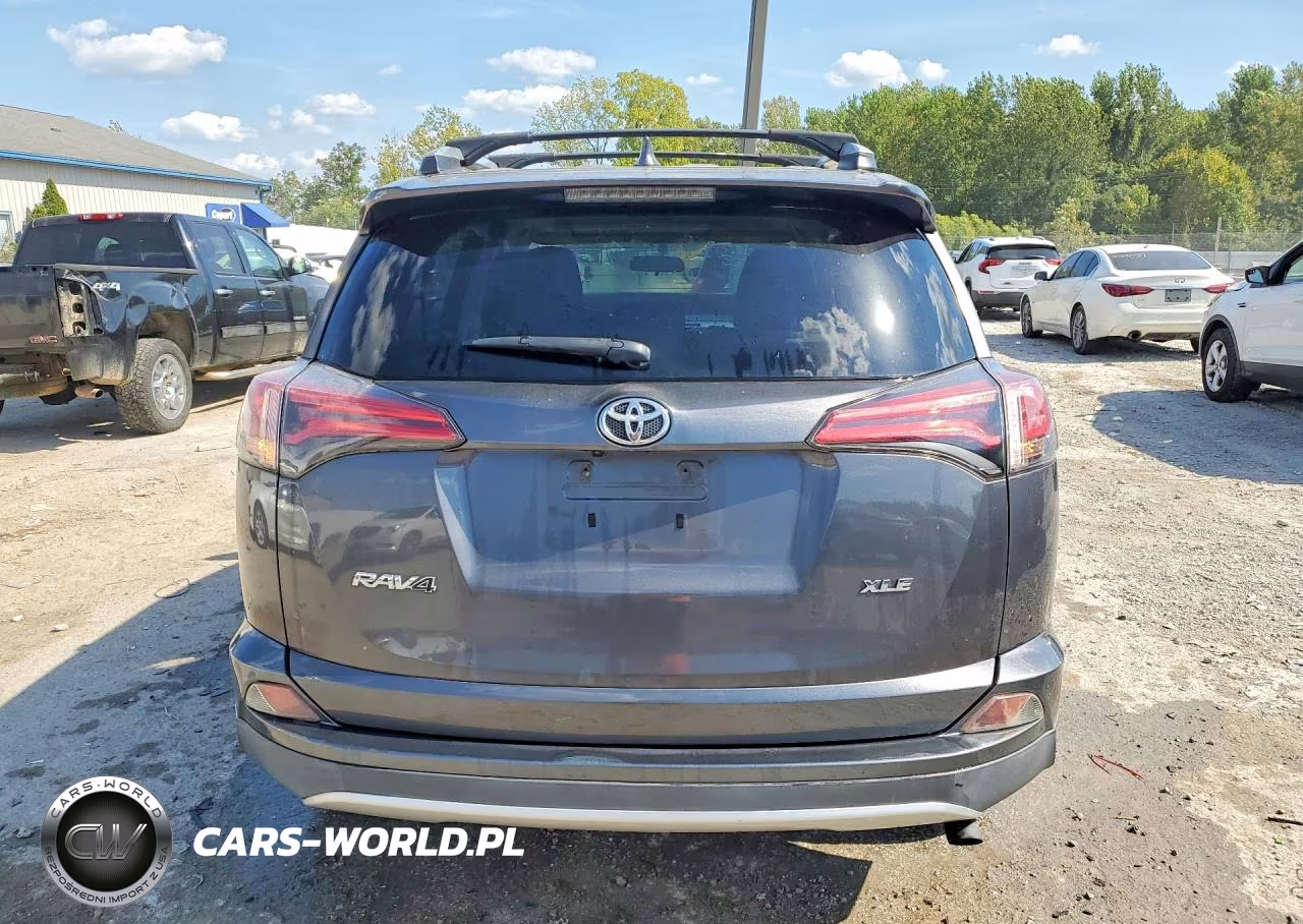 2016 Toyota Rav4 Xle VIN:2T3WFREV2GW257104 - 6